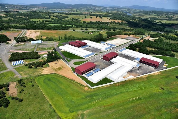 İstanbul’da ‘Kurban Timi’ kuruldu