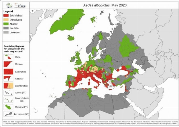 Zika virüsü seferberliği… Hava Taksi İşletmeleri’nden ‘Dezenfeksiyon’ talebi
