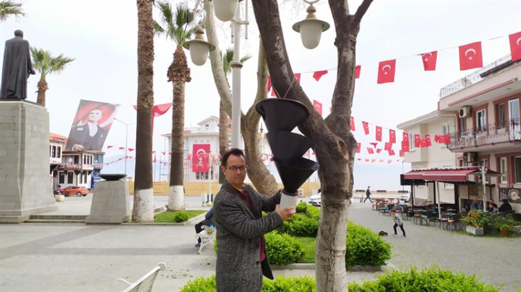 ‘Palmiye Kırmızı Böceği Mücadelesi’ Bursa’da da uygulanıyor