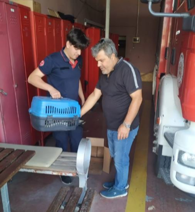 Yaralı leyleği Kocaeli İtfaiyesi kurtardı