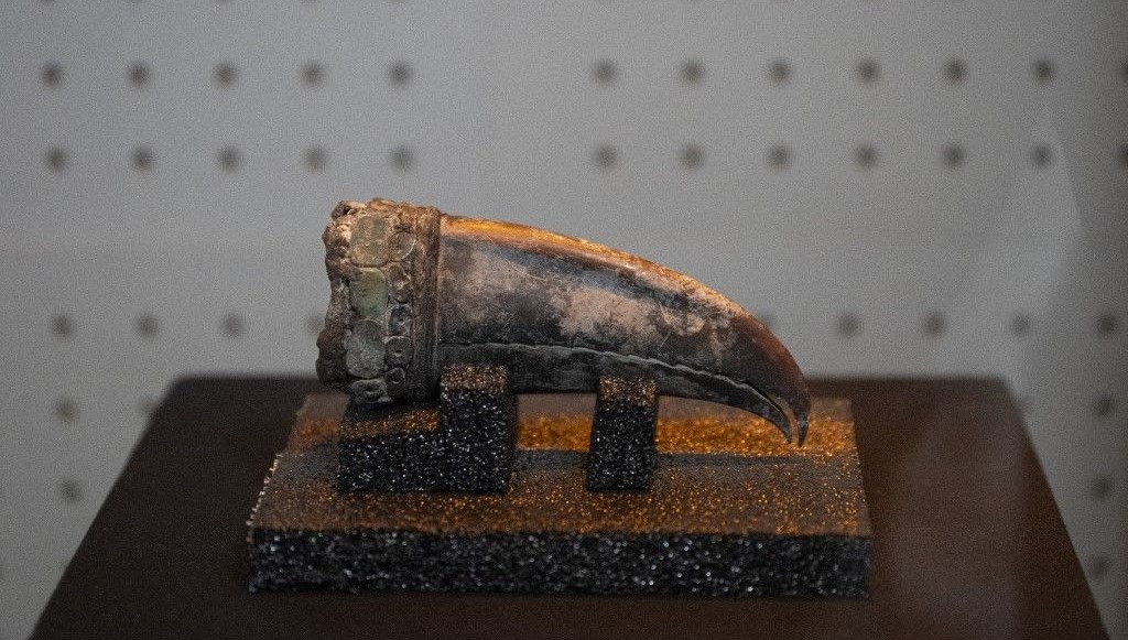 Antik uygarlığa ışık tutacak: 5 bin yıllık soylu bayan mezarı bulundu!