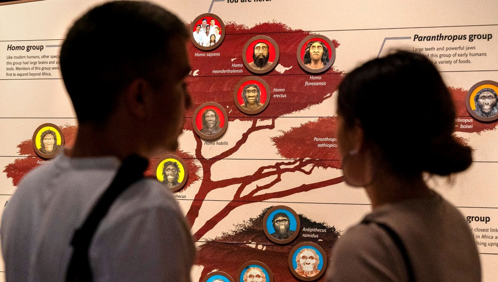 Çağdaş insanların 40 bin yıl önce yok olmaktan nasıl kurtulduğu ortaya çıktı