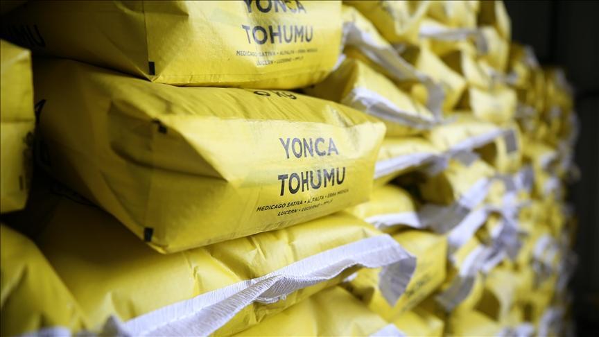 Çiftçilere yüzde 70 hibeyle mısır ve yonca tohumu dağıtıldı – Düzgün Haber