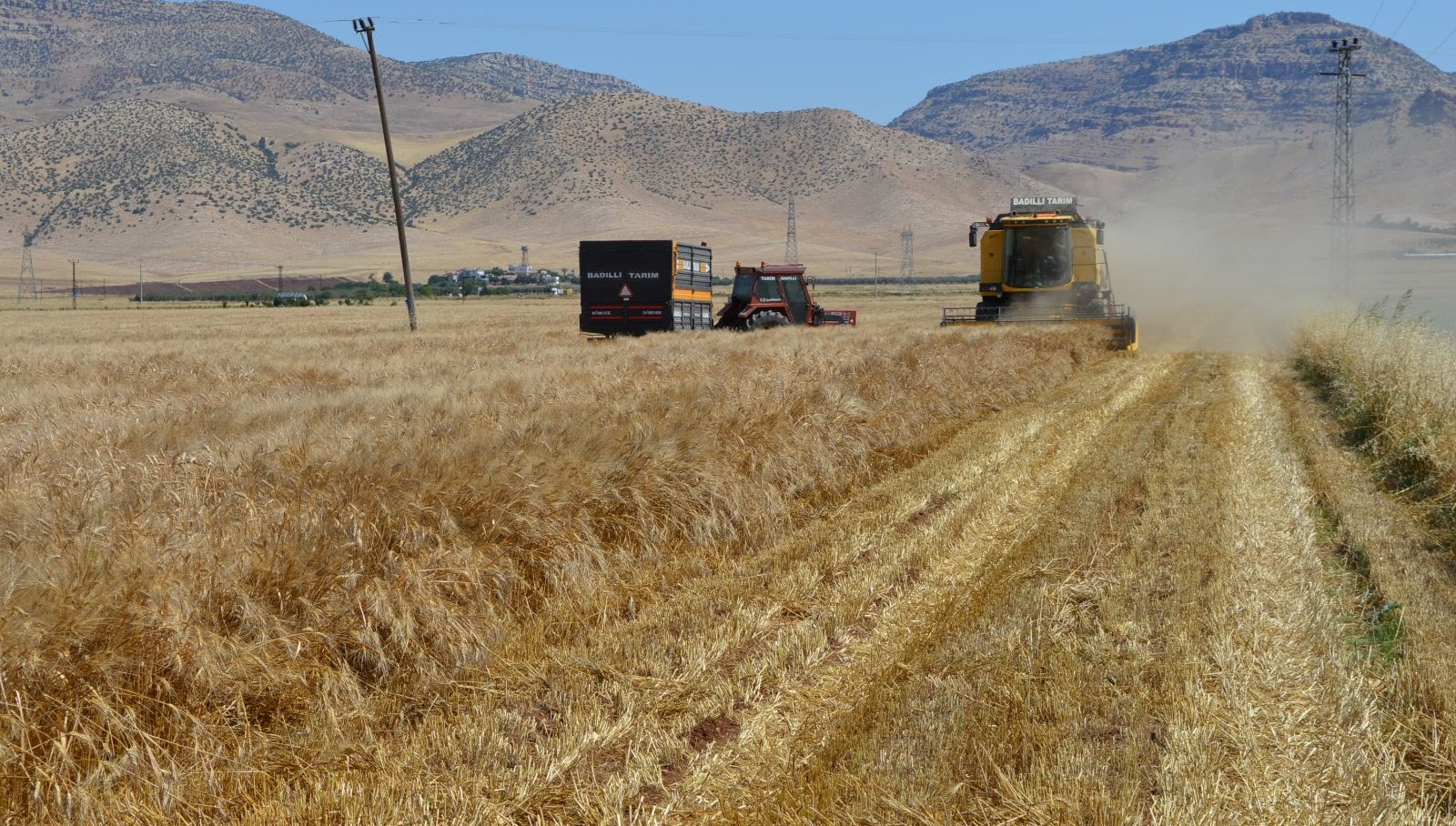 Irak’tan Suriye’ye 250 bin tonluk buğday yardımı