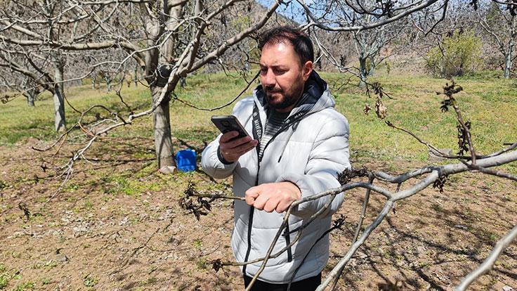 TARSİM zirai don olayının kayısılardaki tesirlerini yerinde tespit etti – Düzgün Haber