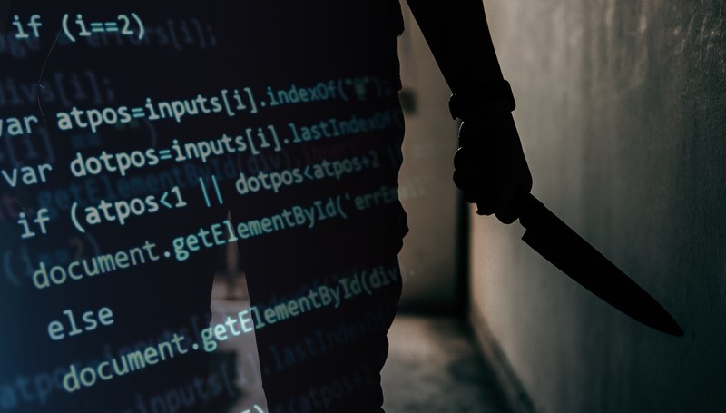 Tehlikeyi hesaplayan algoritma yanıldı: Bir bayan daha öldürüldü