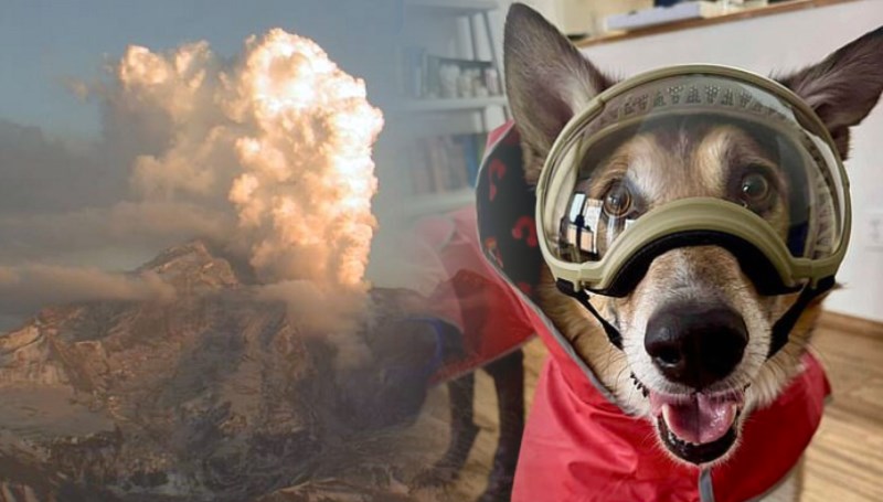 Yanardağ patlamaya hazır: 300 bin kişi felakete hazırlanıyor