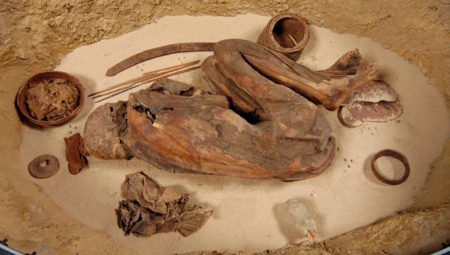 100 yılı aşkın müddettir sergilenen mumyanın sırrı yeni ortaya çıktı