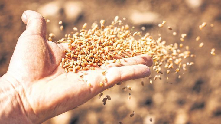 103 ülkeye tohum ihraç ediliyor – Düzgün Haber