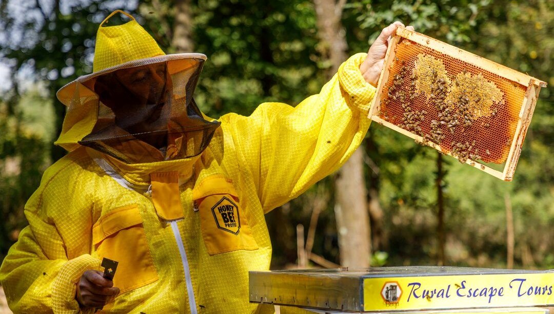 70 yaşındaki arıcı, trafik polisleriyle tartışınca üzerlerine arı saldı