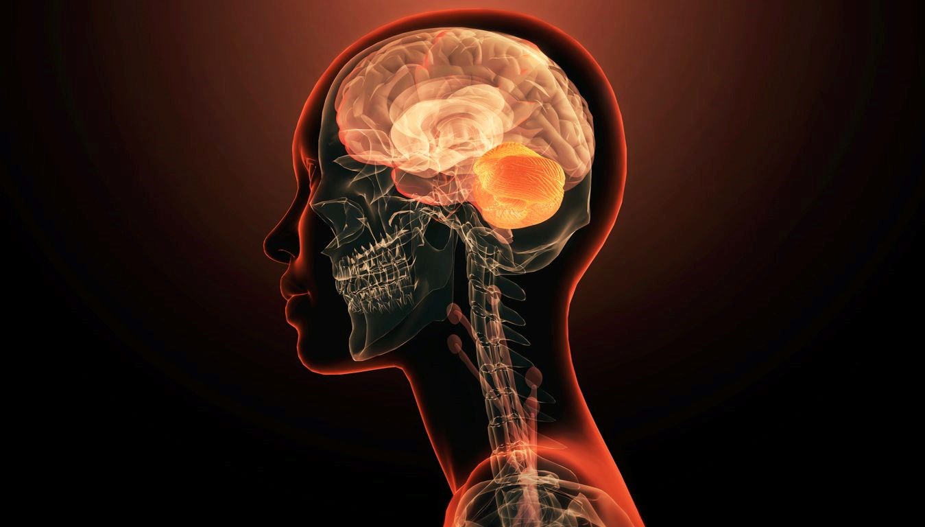 Demans hastalığında yeni keşif: 12 yıla kadar erken tespit edilebilir