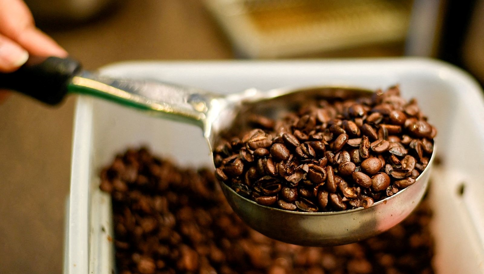 Kahveyle ilgili yeni çalışma: Vefat riskiyle ilgili yeni bulgular var