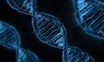 37-bin-yillik-dna-tahlili-antik-beserler-hastaliklari-hayvanlardan-mi-aldi-JCDpwvwJ.jpg