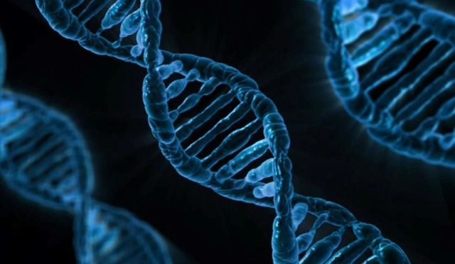 37-bin-yillik-dna-tahlili-antik-beserler-hastaliklari-hayvanlardan-mi-aldi-JCDpwvwJ.jpg