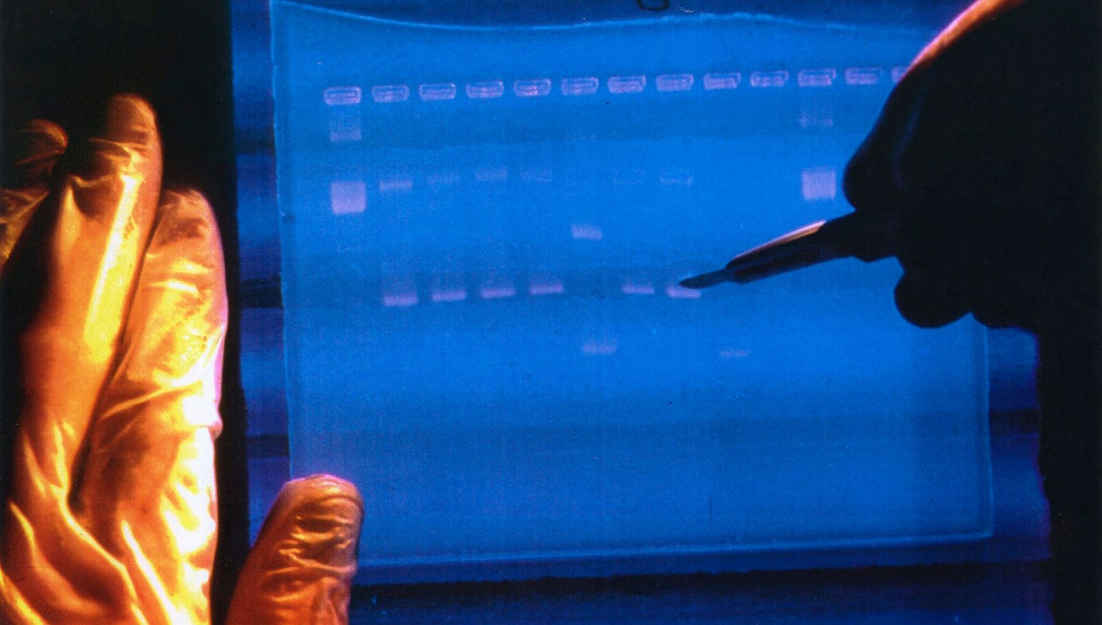 DNA’lar yine kodlanacak: Laboratuvarda “insan üretimi” başlıyor!