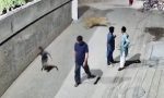 pakistanda-kacak-aslan-dehseti-8Yl4y4dI.jpg