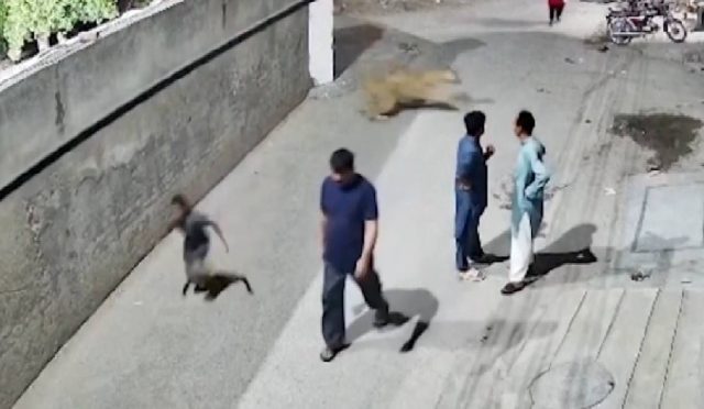 pakistanda-kacak-aslan-dehseti-8Yl4y4dI.jpg