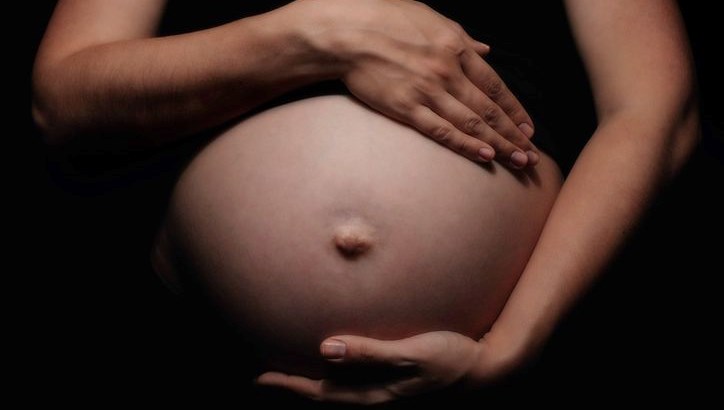Taşıyıcı anne skandalı: 21 bebek tıpkı konutta bulundu