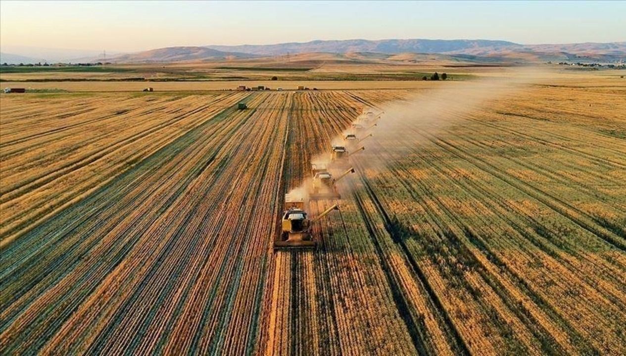 Ziraî destekleme ödemeleri sorgulama ekranı 2025: Temmuz ayı çiftçi takviye ödemeleri yattı mı, ne vakit yatacak?