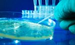 abdde-salmonella-alarmi-3spFYwwU.jpg