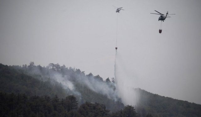 bulgaristanda-orman-yangini-sigara-izmariti-5-bin-donumu-kul-etti-lGEjSmc4.jpg