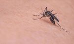 cinde-virus-panigi-buyuyor-4-binden-fazla-bireye-bulasti-lmKJ7CyT.jpg
