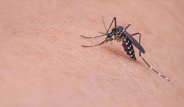 cinde-virus-panigi-buyuyor-4-binden-fazla-bireye-bulasti-lmKJ7CyT.jpg