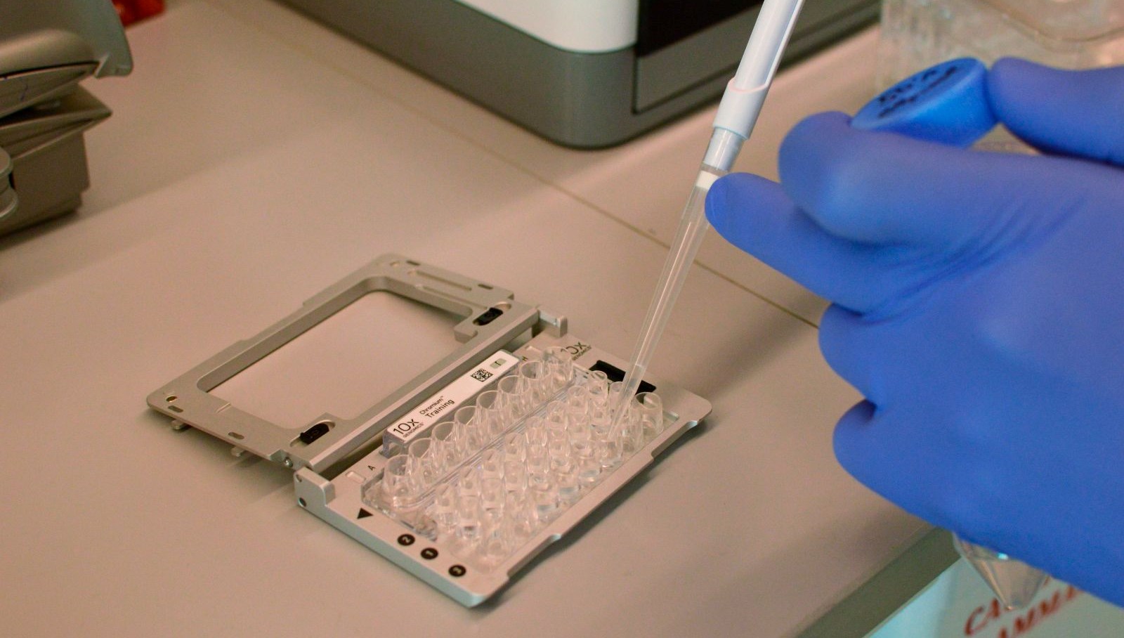 Genetikte ihtilal: Bilim insanları, DNA’yı sıfırlayan teknoloji geliştirdi