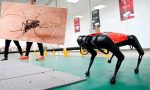 hong-kong-chikungunya-ile-ugrasinda-robot-kopekleri-kullanacak-9d9VyeLv.jpg