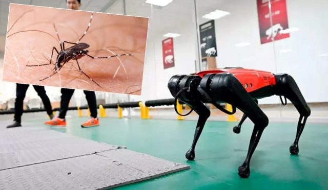 hong-kong-chikungunya-ile-ugrasinda-robot-kopekleri-kullanacak-9d9VyeLv.jpg