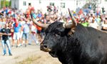 ispanyada-kizgin-boga-park-halindeki-araci-parcaldi-CRzShv49.jpg