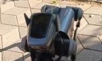 robot-kopek-gorenleri-hayrete-dusurdu-veG7JgiZ.jpg